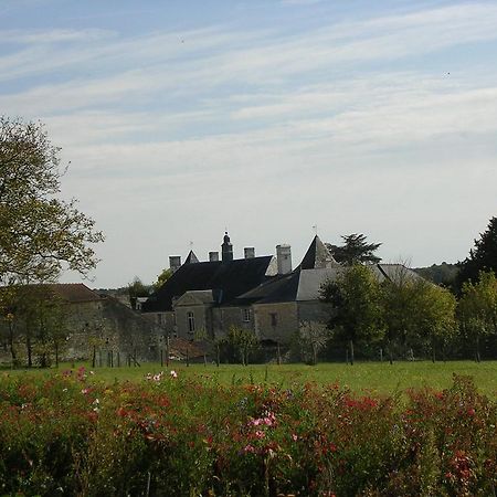 Chateau De La Noblaye Bed and Breakfast Lemere Zewnętrze zdjęcie