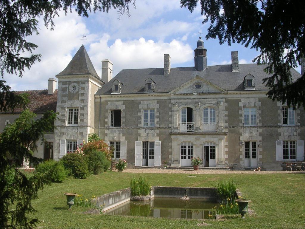 Chateau De La Noblaye Bed and Breakfast Lemere Zewnętrze zdjęcie