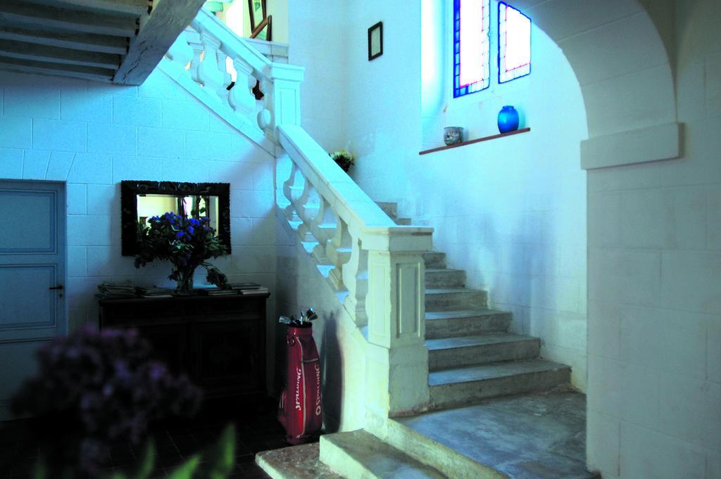 Chateau De La Noblaye Bed and Breakfast Lemere Zewnętrze zdjęcie