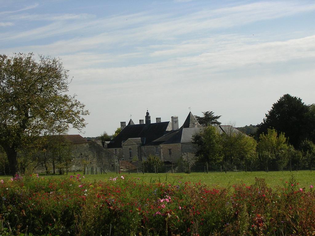 Chateau De La Noblaye Bed and Breakfast Lemere Zewnętrze zdjęcie