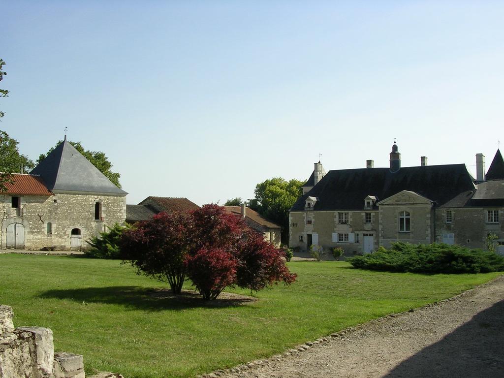 Chateau De La Noblaye Bed and Breakfast Lemere Zewnętrze zdjęcie
