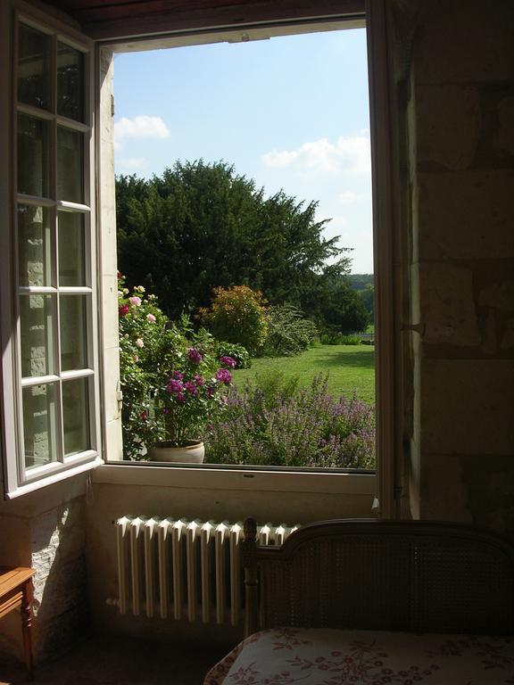 Chateau De La Noblaye Bed and Breakfast Lemere Zewnętrze zdjęcie