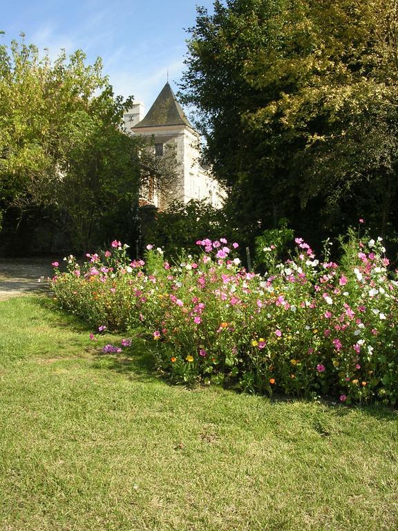 Chateau De La Noblaye Bed and Breakfast Lemere Zewnętrze zdjęcie