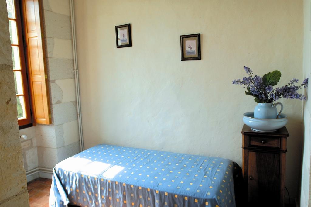Chateau De La Noblaye Bed and Breakfast Lemere Zewnętrze zdjęcie